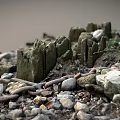 Rugged Rocky Terrain With Scattered Pebbles Green Vegetation Wooden Stakes And Chain