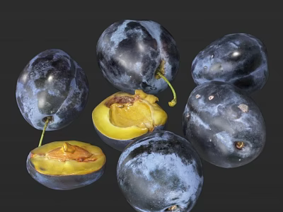 Fresh Ripe Dark Purple Plums Whole and Halved Showing Juicy Yellow Flesh on Black Background 3d model
