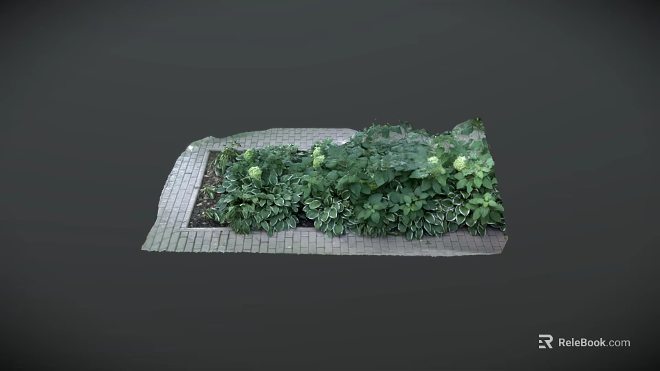 Green Plants With Large Leaves And White Small Flowers On Brick Paved Ground 3d model 