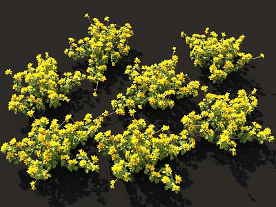 Vibrant Dense Yellow Flower Clusters With Green Leaves On Black Background 3d model