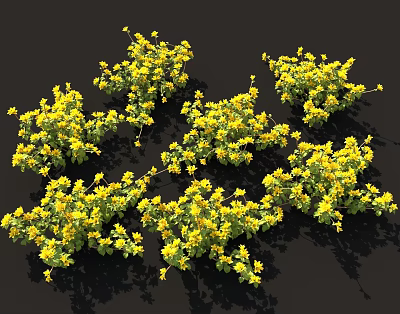 Vibrant Dense Yellow Flower Clusters With Green Leaves On Black Background 3d model