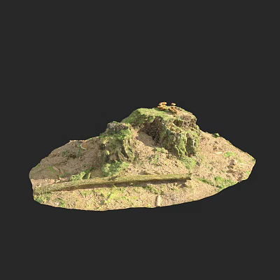 trunk wood dead wood dead tree stump 3d model