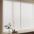 White Venetian Blinds on Living Room Window with Plant Books and Vase on Sill