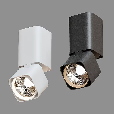 Modern White And Black LED Downlights Spotlights With Sleek Design Adjustable Head Metallic Finish 3d model