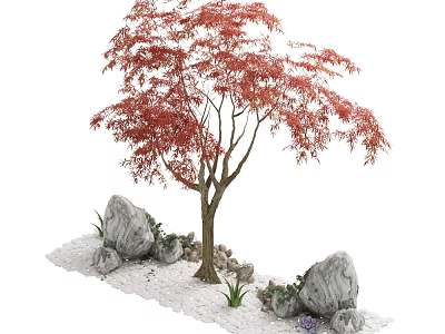 Red Maple Arbor With Red Leaves Surrounded By Stones Small Plants On White Pebble Ground 3d model
