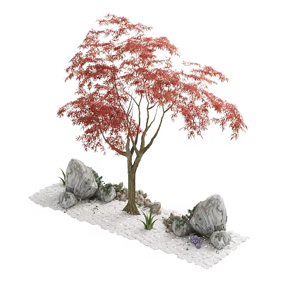 Red Maple Arbor With Red Leaves Surrounded By Stones Small Plants On White Pebble Ground 3d model