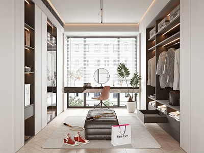 Modern Walk in Closet With Natural Light And Stylish Decor 3d model