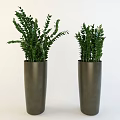 Bonsai Potted Plants In Two Tall Gray Pots With Lush Green Leaves