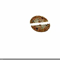 Delicious Pizza Topped With Melted Cheese Black Olives Green Peppers And Red Peppers