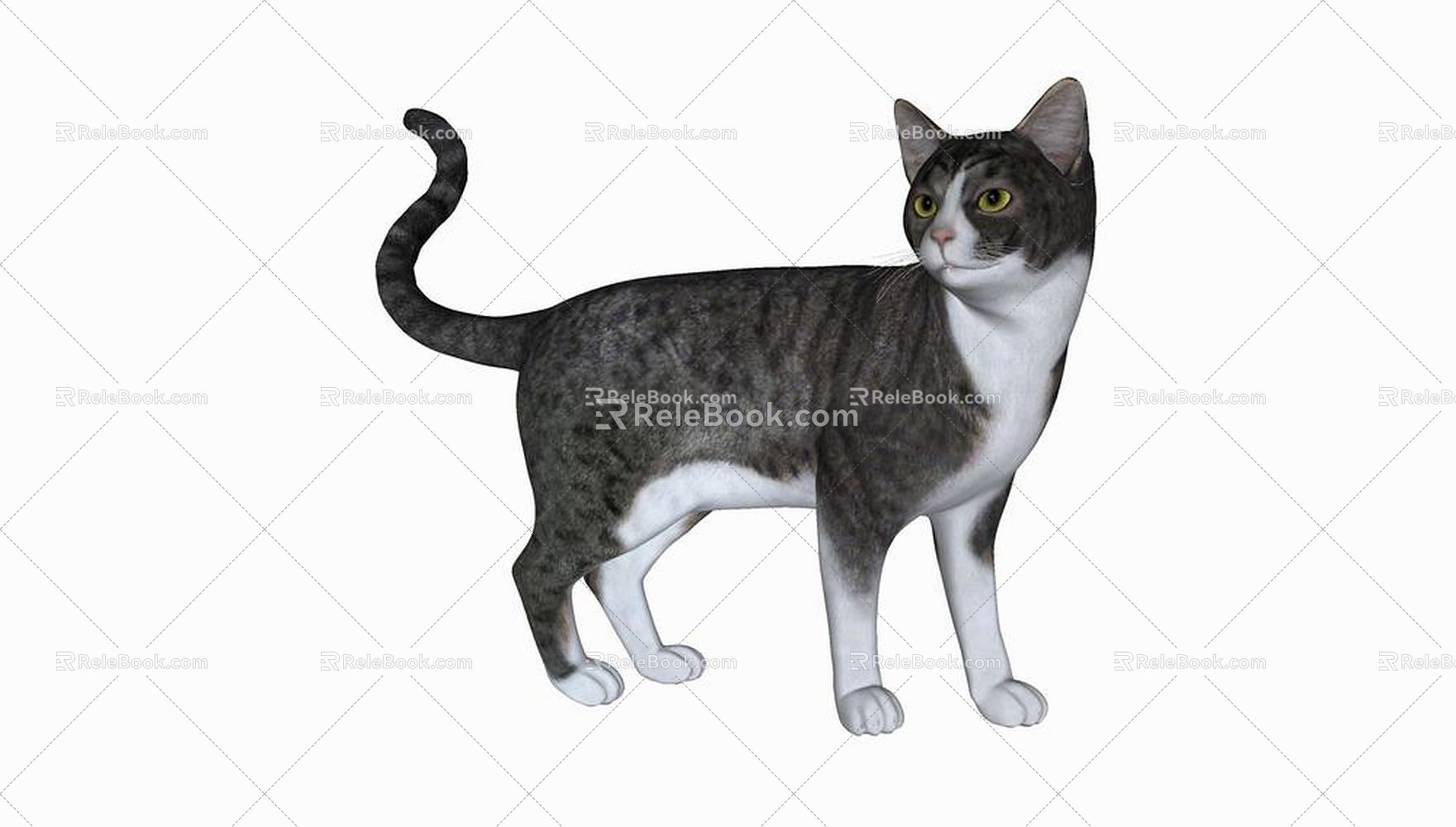 Modern Cat Animal Cat 3d model