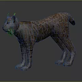 3D Lynx Model In Standing Pose With Spotted Fur And Tufted Ears On Gray Background