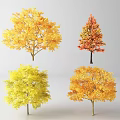 Vibrant Autumn Arbor Trees with Yellow Orange Red and Golden Foliage