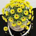 Fresh Yellow Sunflowers in Burlap Sack Vase Against White Brick Wall