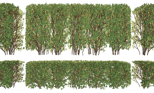 Modern shrub hedge shrub plant shaping hedge landscape wall 3d model