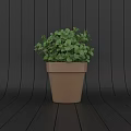 Bonsai Potted Plant with Green Lush Leaves in Brown Ceramic Pot against Dark Wooden Background