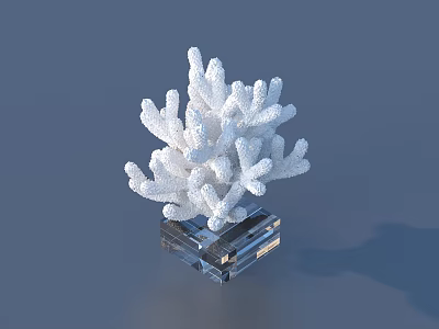 White Coral Shaped Decorative Ornament Set with Clear Transparent Square Base 3d model