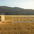 Wooden Pavilions In Golden Wheat Field With Hills And Trees Background