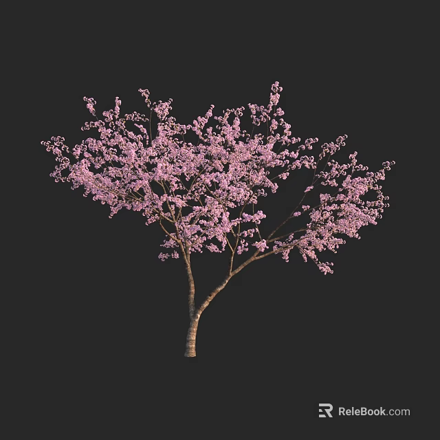 Pink Flowering Arbor with Dense Pink Blossoms and Brown Trunk Against Black Background 3d model 