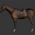 Brown Horse With Colorful Saddle Blanket And Leather Bridle Standing On Dark Background