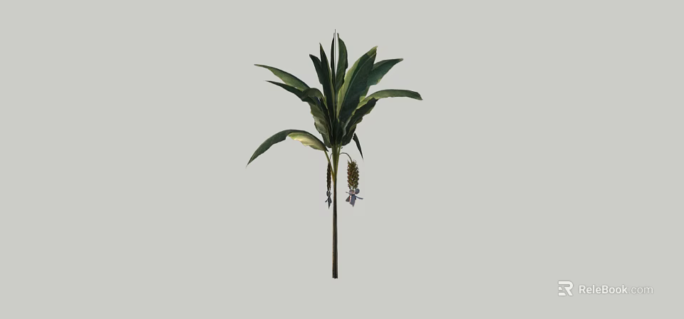 Vibrant Outdoor Shrub With Lush Green Foliage And Small Purple Flowers 3d model 