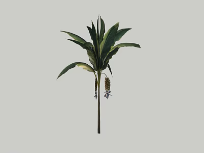 Vibrant Outdoor Shrub With Lush Green Foliage And Small Purple Flowers 3d model