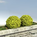Round Green Bushes In Stone Rectangular Flower Bed Against Blue Sky With White Clouds 3d model