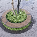 Circular Tree Pit With Wooden Bench And Green Plants On Gray Paved Ground