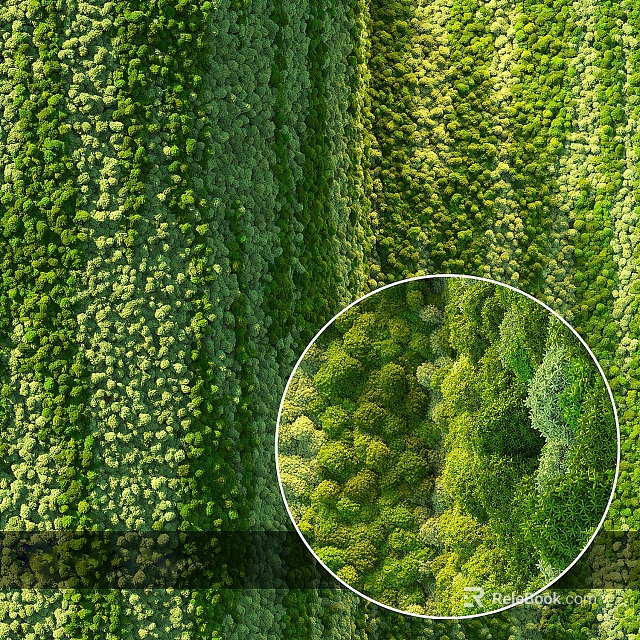 Vertical Living Plant Wall Design Featuring Lush Green Foliage And Dense Greenery 3d model 