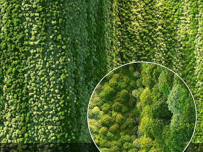 Vertical Living Plant Wall Design Featuring Lush Green Foliage And Dense Greenery 3d model
