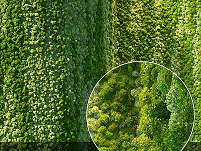 moss plant wall 3d model