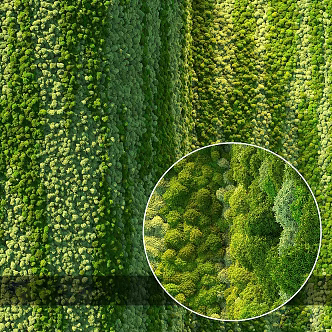 moss plant wall 3d model