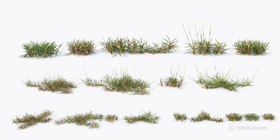 Various Shaped Green and Brown Grass Tufts Arranged on White Background 3d model 