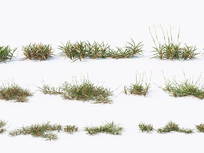 Various Shaped Green and Brown Grass Tufts Arranged on White Background 3d model