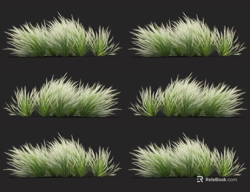 Ornamental Grasses with Green and White Foliage for Clump Forming Garden Landscaping Plants 3d model 