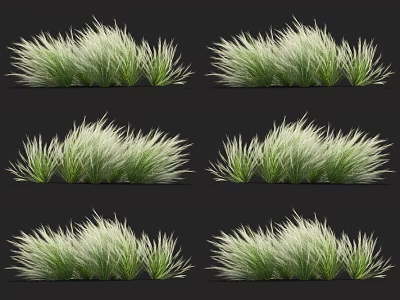 Ornamental Grasses with Green and White Foliage for Clump Forming Garden Landscaping Plants 3d model