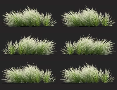 Ornamental Grasses with Green and White Foliage for Clump Forming Garden Landscaping Plants 3d model