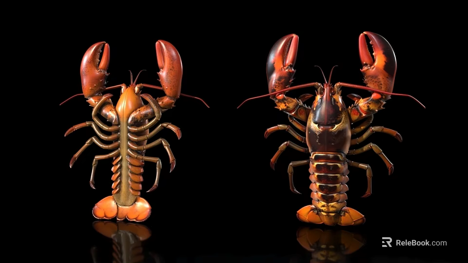 Two Vibrant Lobsters With Red Orange Claws And Detailed Shell On Black Background 3d model 