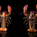Two Vibrant Lobsters With Red Orange Claws And Detailed Shell On Black Background