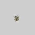 Elegant White Flower Arrangement In Ceramic Vase With Decorative Branches And Foliage