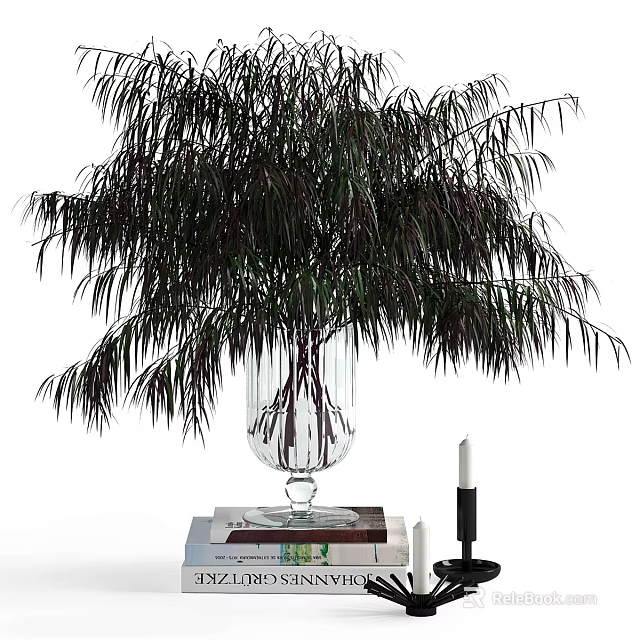 Decorative Ornament Set With Transparent Glass Vase Green Leafy Plant Black Candle And Stacked Books 3d model 
