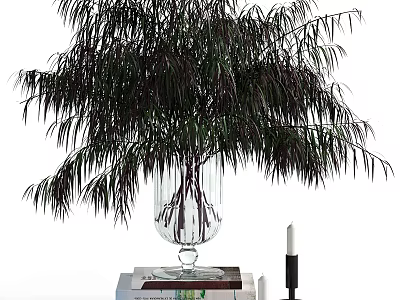 Decorative Ornament Set With Transparent Glass Vase Green Leafy Plant Black Candle And Stacked Books 3d model
