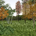 Modern Trees Plants Landscape Trees Background Trees Flowers and Grasses 3d model