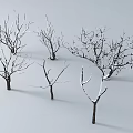 Dead branches Snow modeling trees Dead trees Winter trees Snow trees Snow trees Snow plants Snow trees 3d model