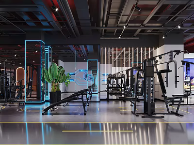 Modern Gym Interior With Professional Fitness Equipment Mirrored Walls And Bright Lighting 3d model