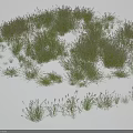 Multiple Clumps of Green Grass With Tiny Flower Spikes Against White Background