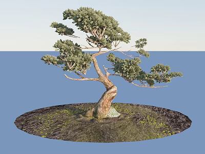 Twisted Arbor Tree with Green Foliage on Circular Mound by Blue Water and Sky 3d model
