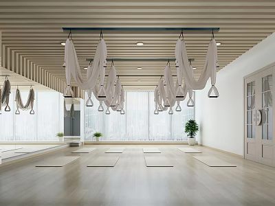 Spacious Bright Yoga Fitness Studio With Aerial Hammocks Yoga Mats Wooden Floor And Green Plants 3d model