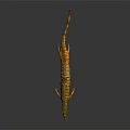 Realistic Striped Reptile 3D Model With Long Tail Open Mouth Brown Yellow Color Dark Background