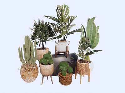 Nordic Potted Plant Green Plant Potted Flower Pot Banana Leaf Plant Cactus Flower Pot model