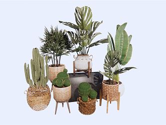 Nordic Potted Plant Green Plant Potted Flower Pot Banana Leaf Plant Cactus Flower Pot 3d model